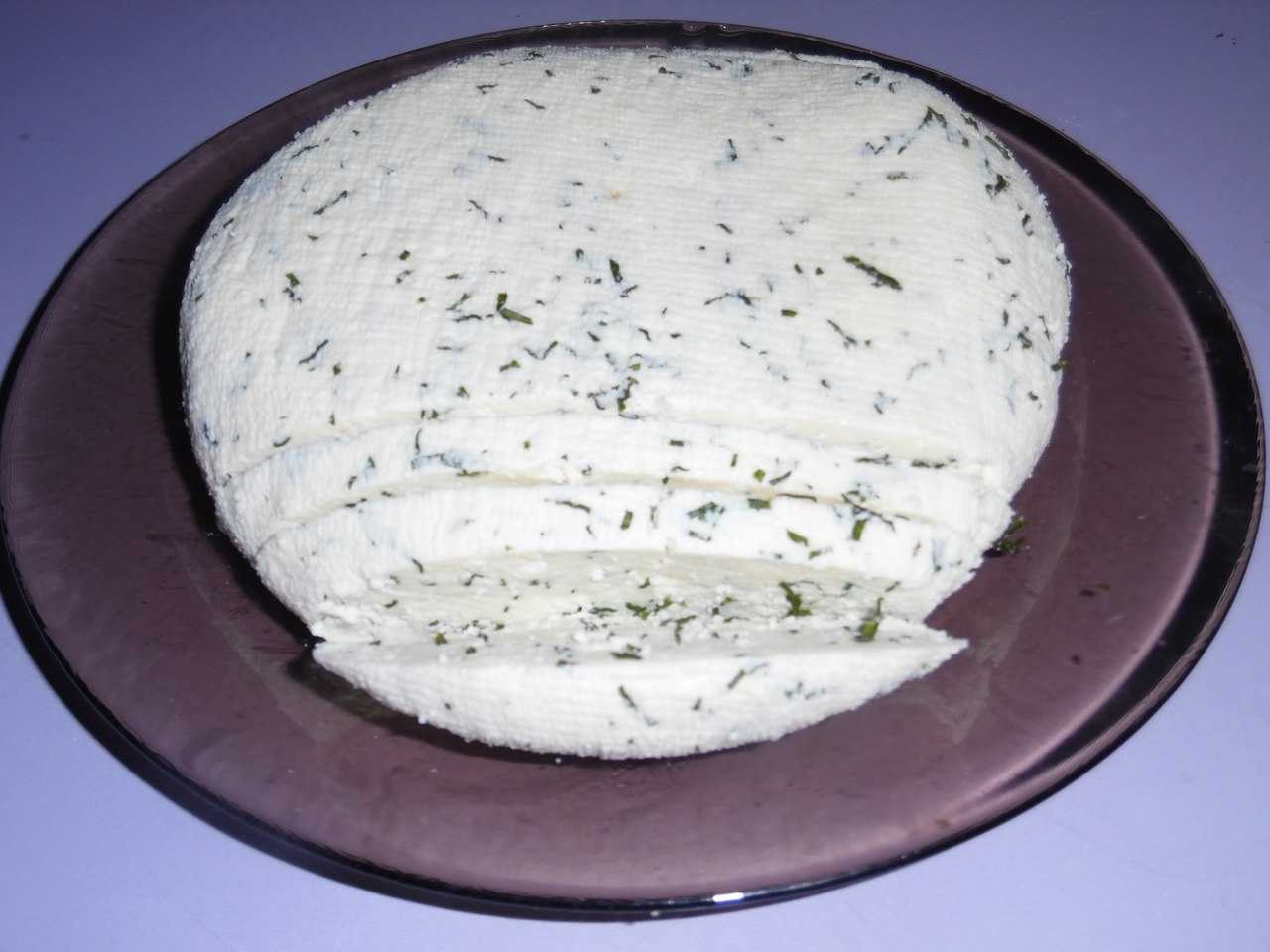 Сыр в домашних условиях — 10 простых и вкусных рецептов