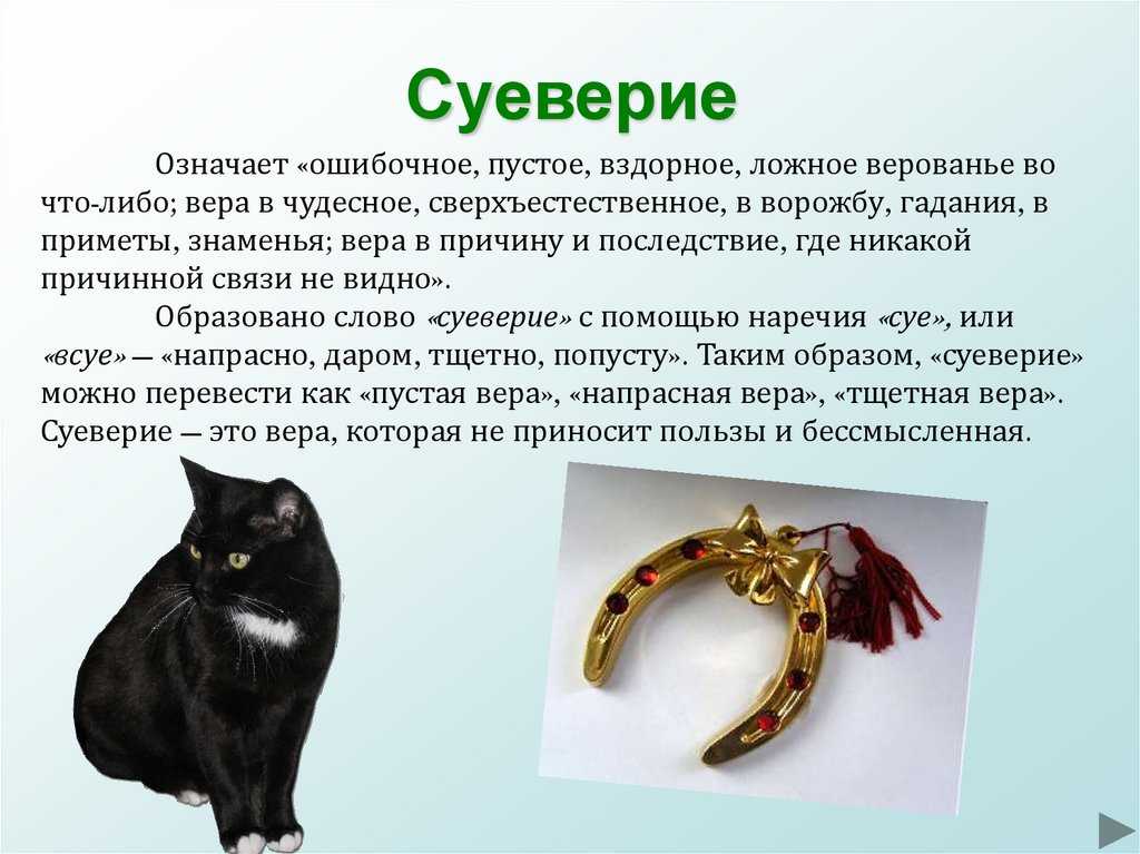 Психология выбора сумки