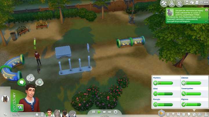 Как выгулять собаку в игре sims 4: полное руководство для начинающих