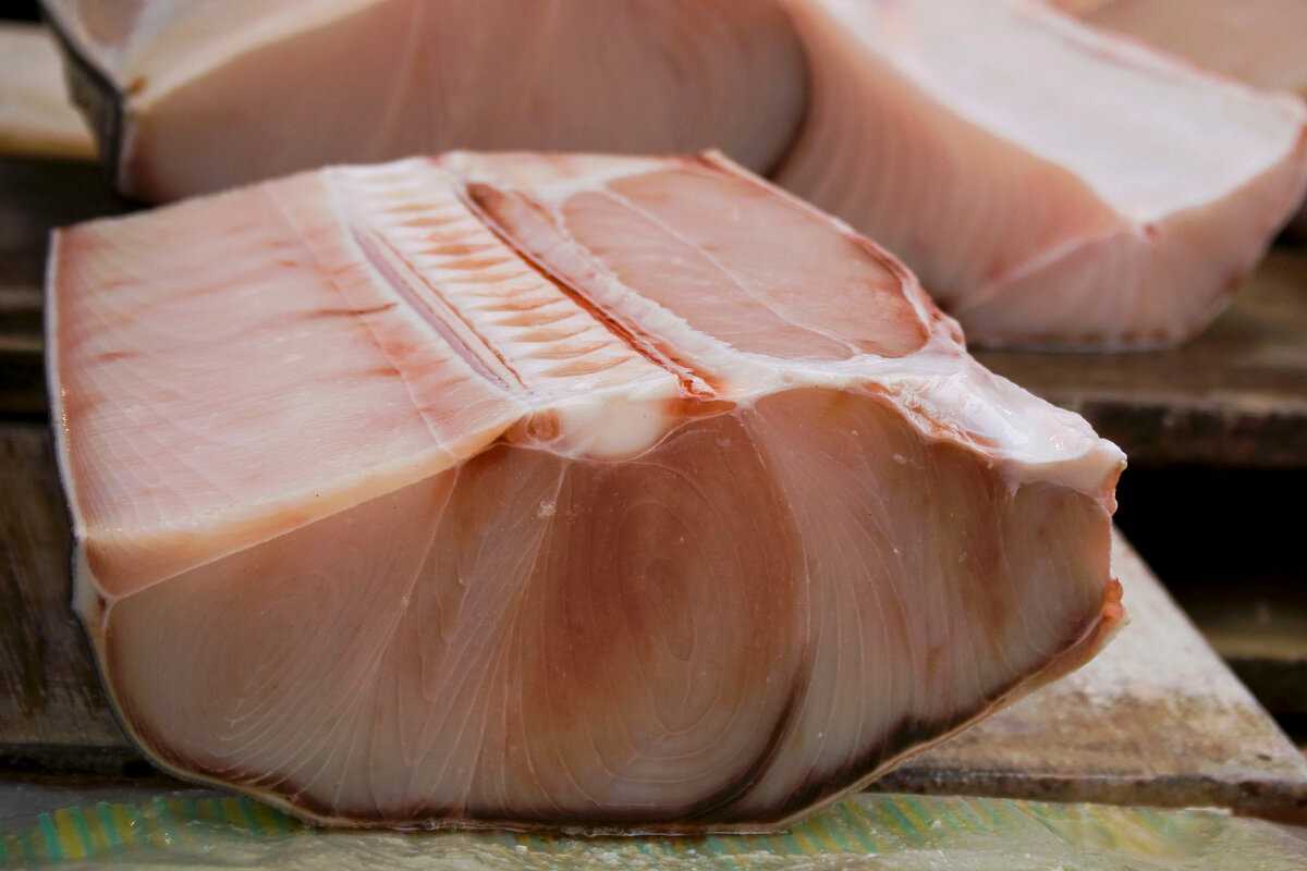 В чем причина отказа русских людей от акульего мяса?