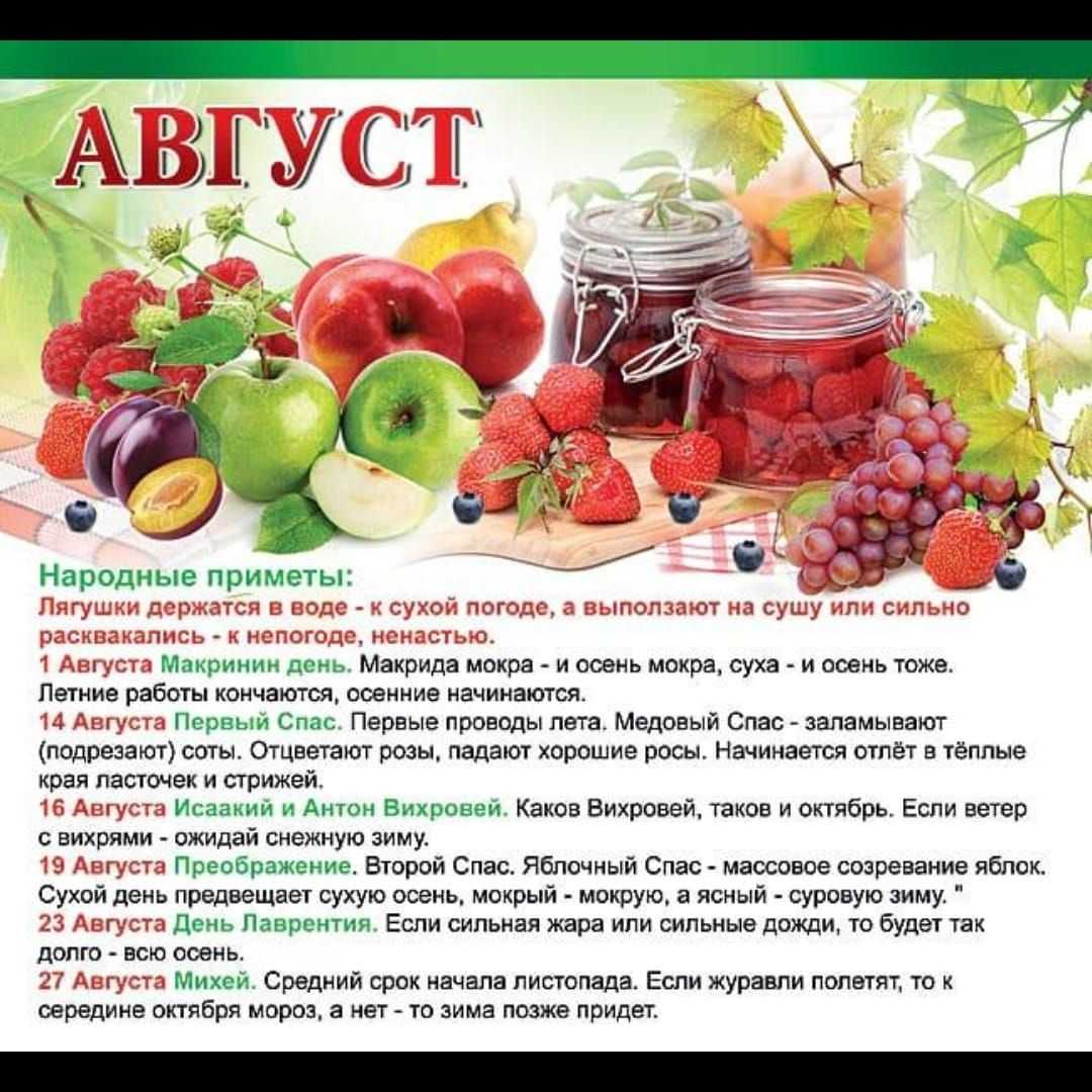 Короткие, красивые стихи о лете русских поэтов-классиков для детей