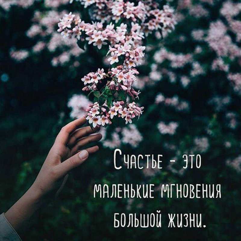 Красивые статусы со смыслом