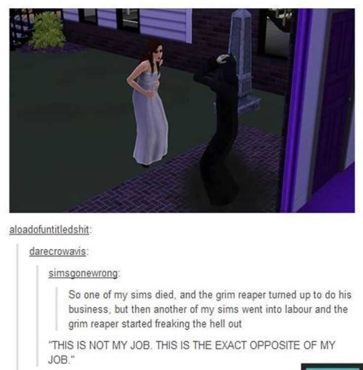 Писатель в sims 4