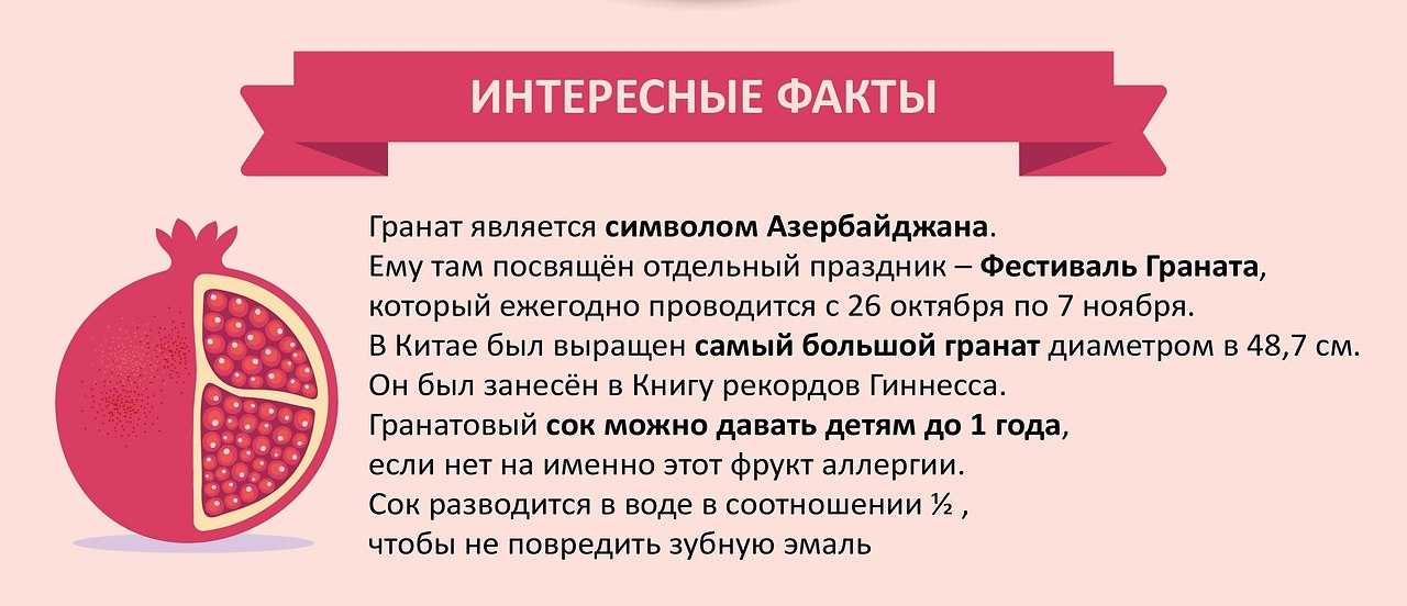 15 правил и способов как есть гранат правильно 2024, с косточками или без и другие