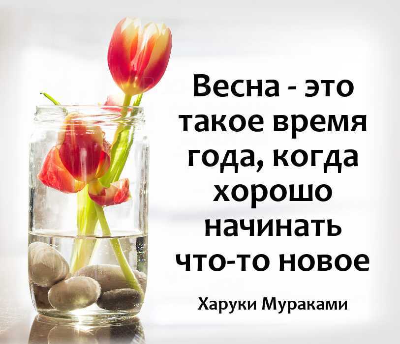 Весна в душе цитаты. красивые цитаты про весну	(300 цитат)