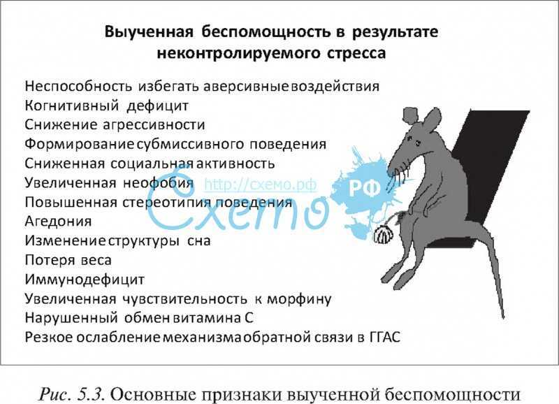 Лучшие тесты по картинкам | aut...aut