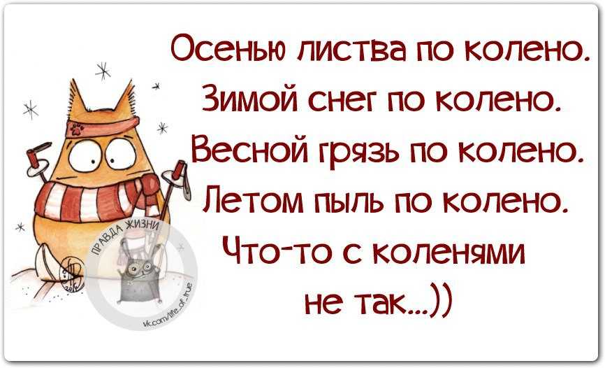Статусы про осень - красивые, прикольные, со смыслом