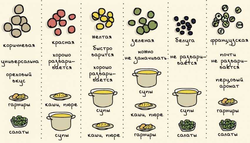 16 рецептов из чечевицы – простых и вкусных