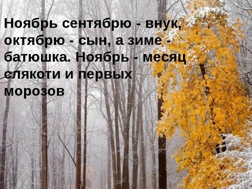 Прикольные статусы про ноябрь