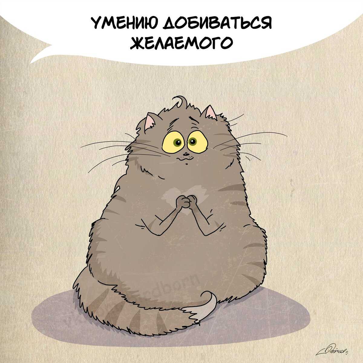 Чему иностранкам следовало бы поучиться у русских женщин