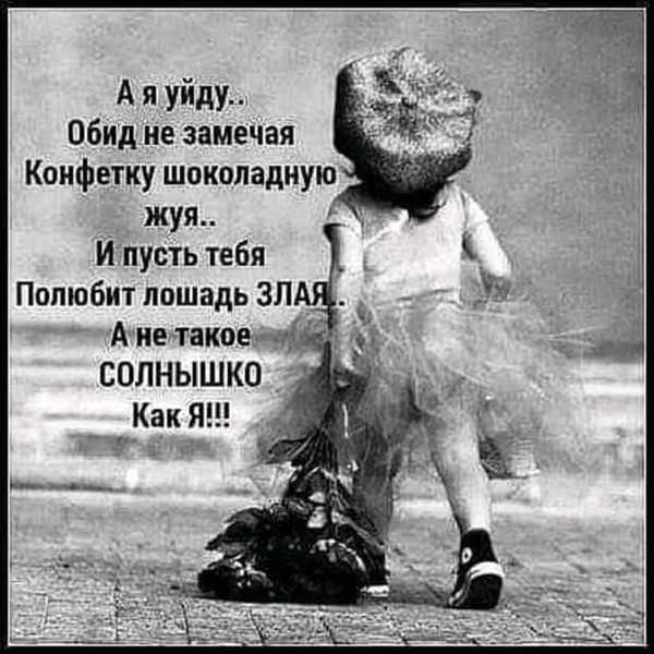 Любимая и незабываемая вероника тушнова. стихи о любви