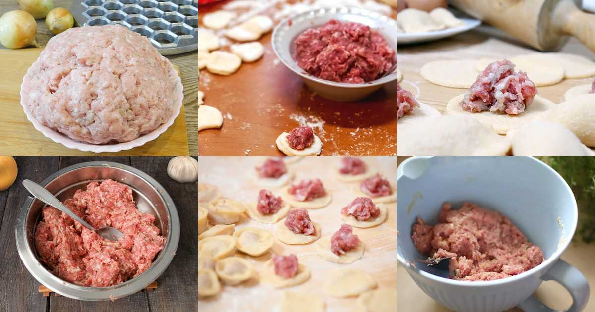 Вкусная начинка для пельменей из фарша разных видов