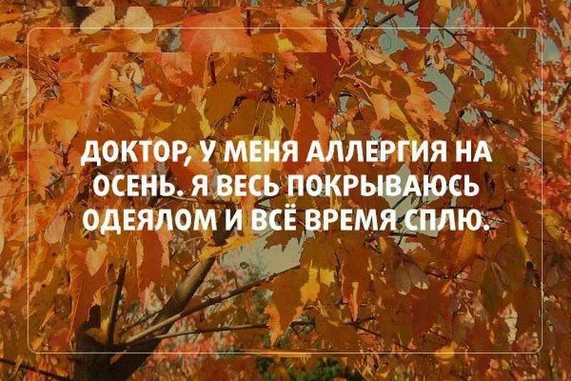Цитаты про осень короткие и красивые. красивые статусы про осень