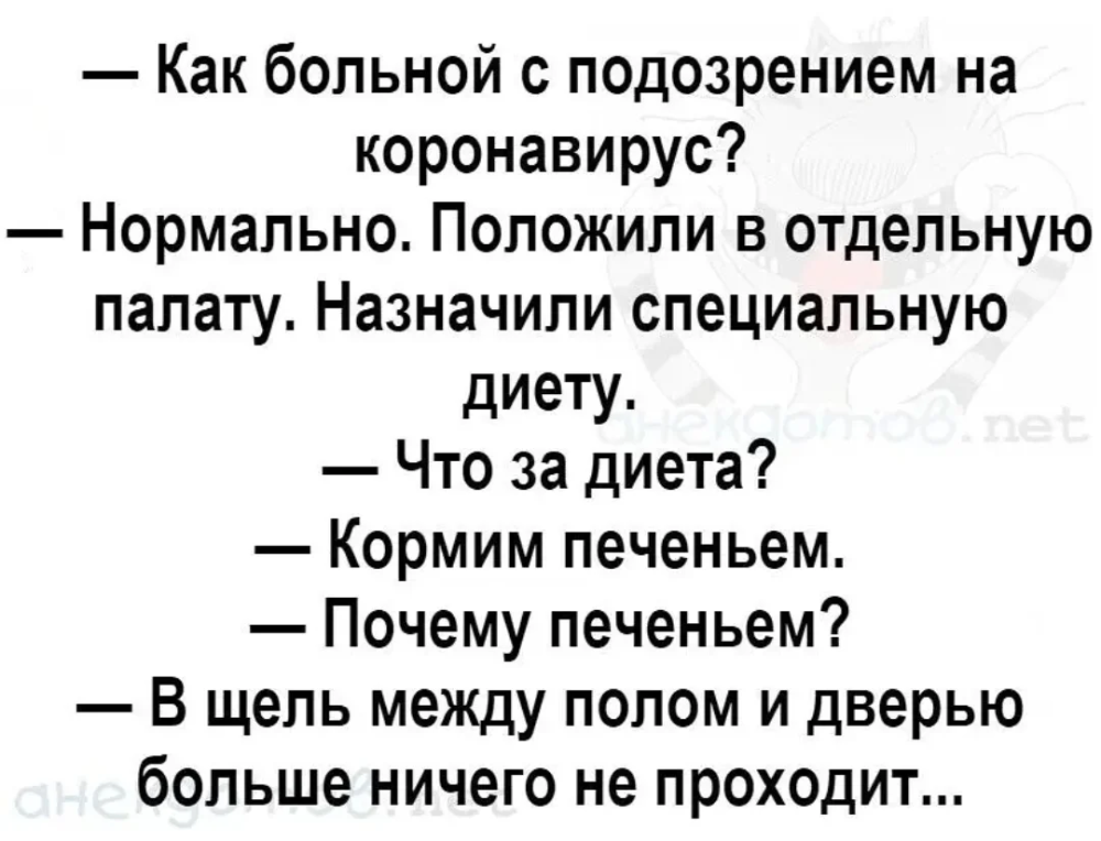 Шутки становятся все циничнее. о чем шутят на фоне коронавируса
