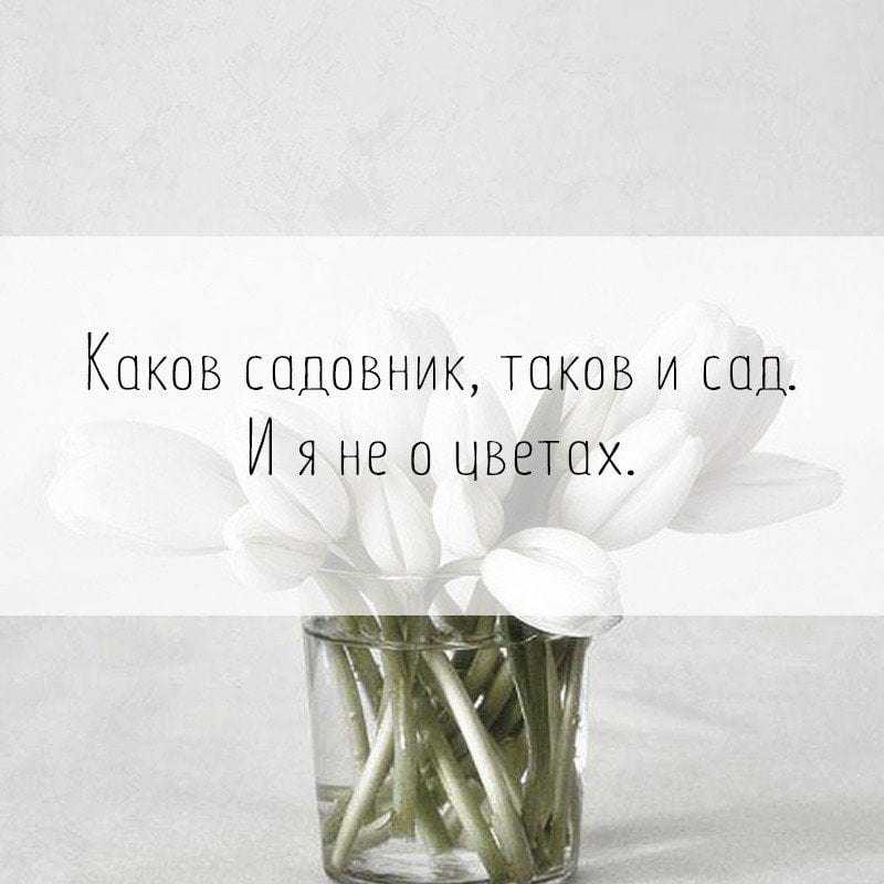«эта песня не про цветы». о покойном авторе «белых роз» рассказал его друг