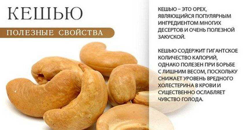 Крекеры: польза и вред для организма. интересная информация. konffetki.ru