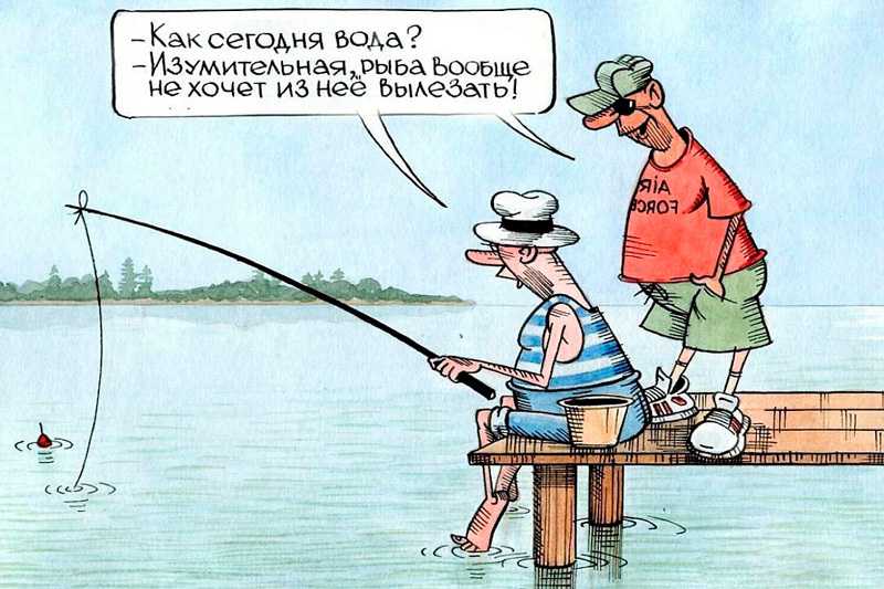 Домашний квест: как интересно и необычно поздравить именинника. идеи и загадки для квеста.