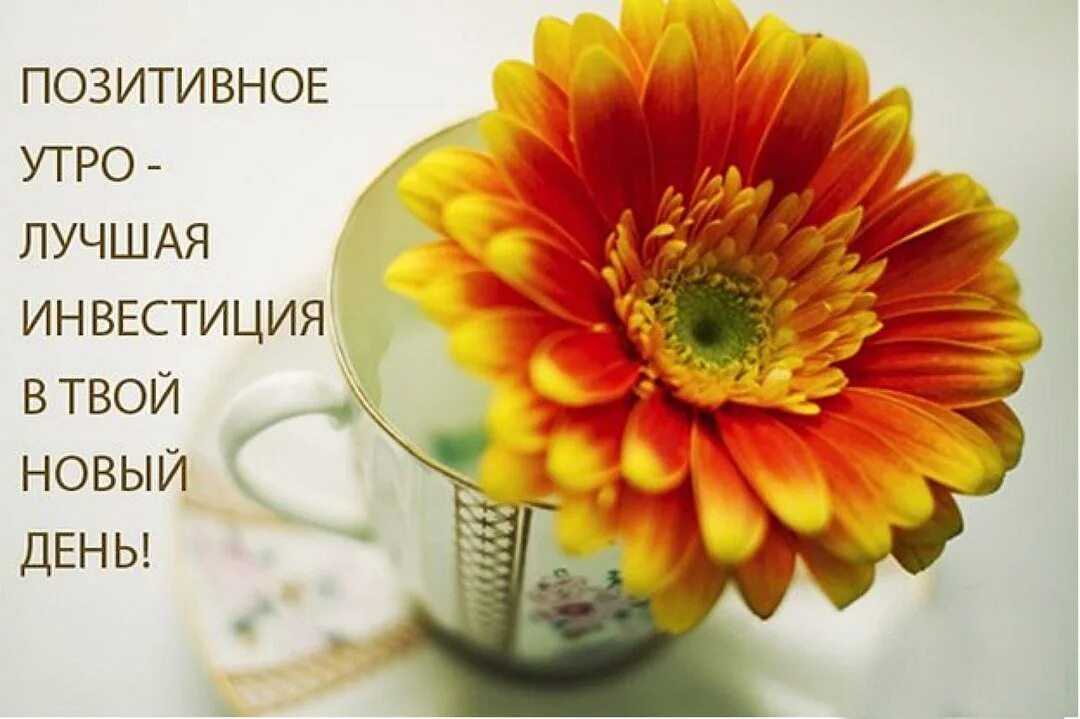 Ответы на вопрос “как прошел день?”