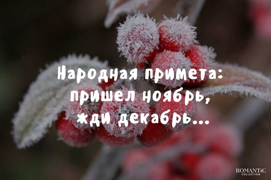 Красивые цитаты и статусы про ноябрь собраны в нашей коллекции для тех кто проникся осенним настроением