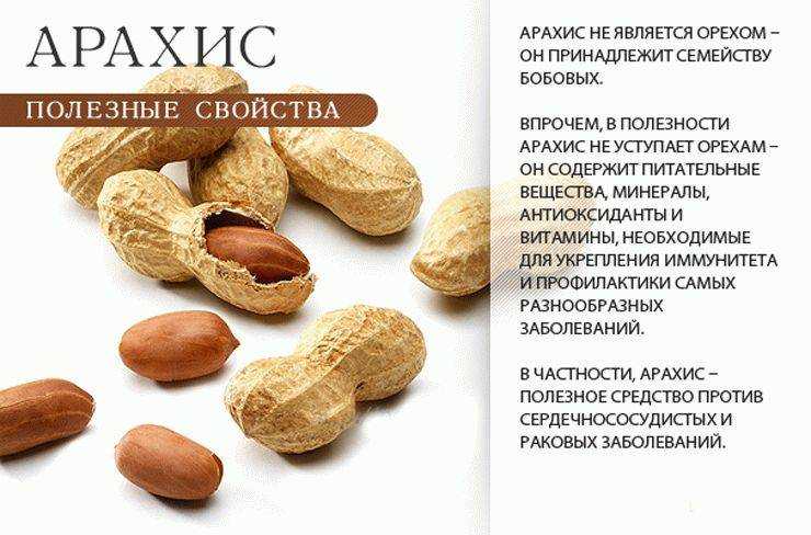 Калорийность печенья — сколько калорий в печенье к кофе?