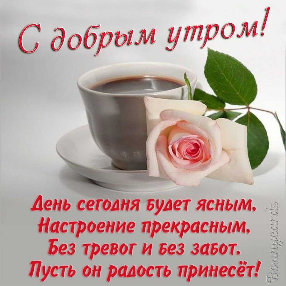 Пожелания доброго утра любимой девушке своими словами в прозе » короткие поздравления