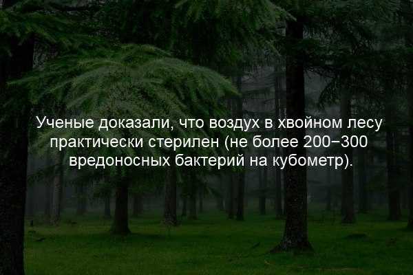 Как красиво подписать фото в инстаграм, вк или другой соцсети: 290 оригинальных примеров фраз