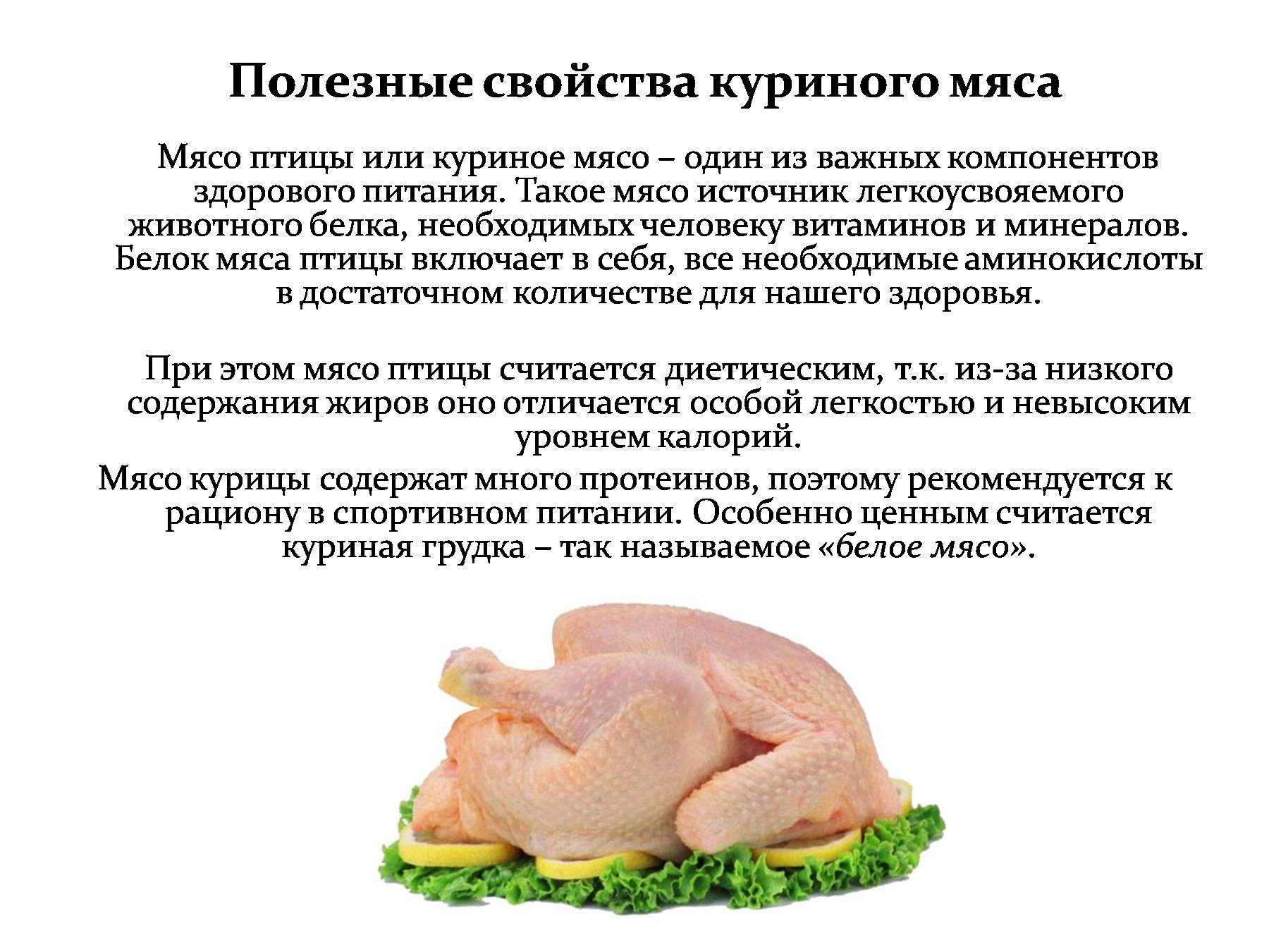 Кролик в сметане в мультиварке