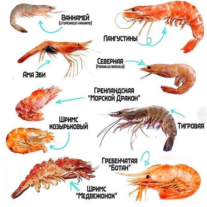 Калорийность продуктов: самая полная таблица на 100 грамм