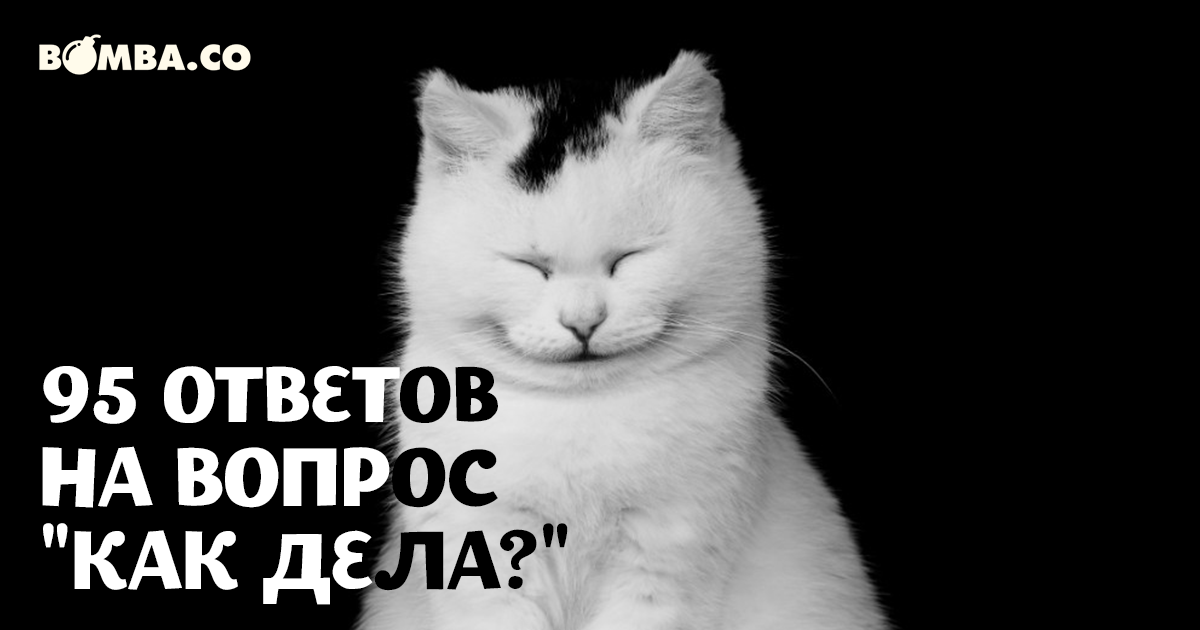 Как можно ответить на «как дела?»