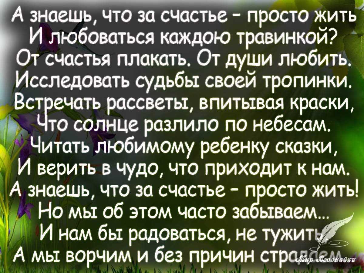Любовь и голуби — фразы из фильма
