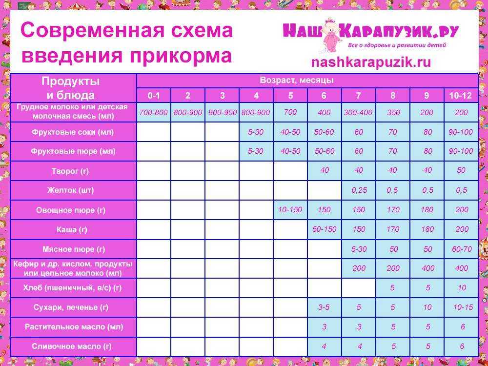 Введение прикорма. как сделать все правильно, чтобы не навредить здоровью младенца?