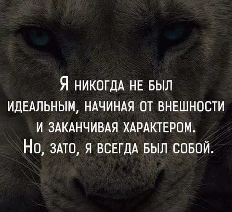 Статусы со смыслом – красивые, мудрые, короткие, прикольные