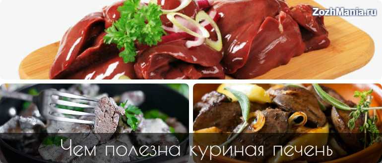 Куриная печень - польза и вред для здоровья организма