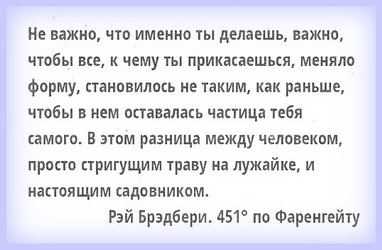 Влюбляются не в лица, не в фигуры, и дело, как ни странно, не в ногах.