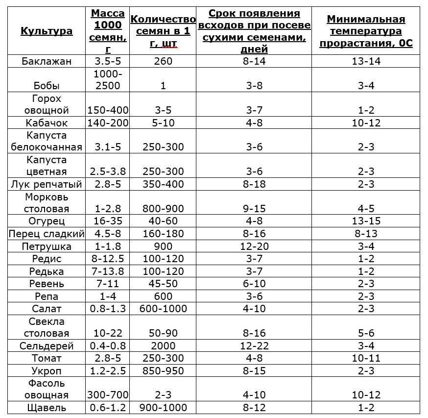 Как определить количество моркови в 250, 300 и 500 граммах: таблица веса порций - обзор посуды