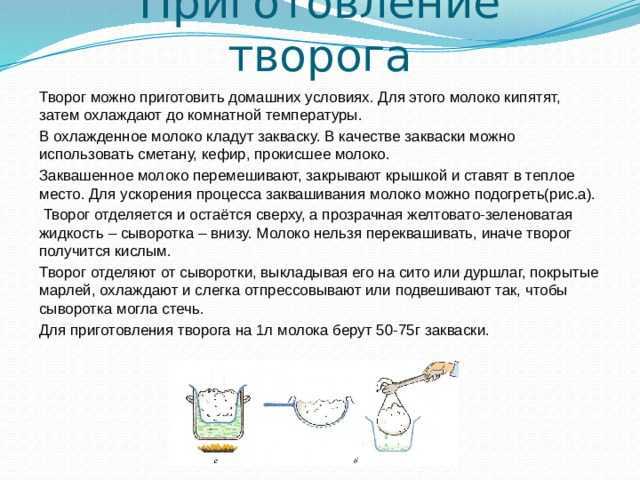 Сколько творога можно получить из 1 литра молока?