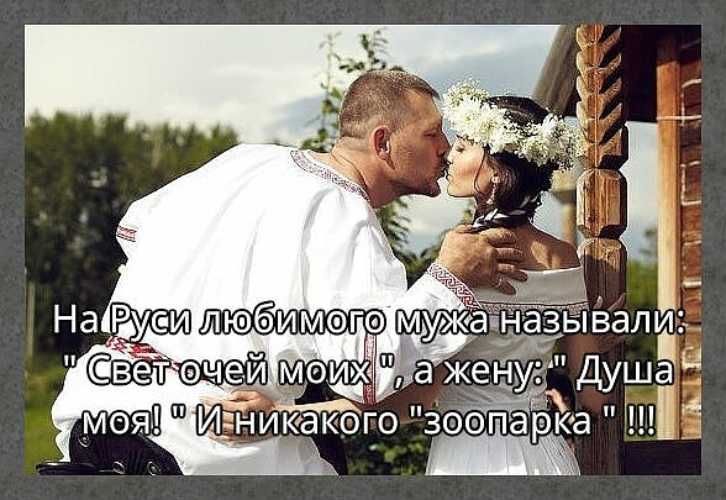 Заи, киси, пуси и т. д. - страна мам