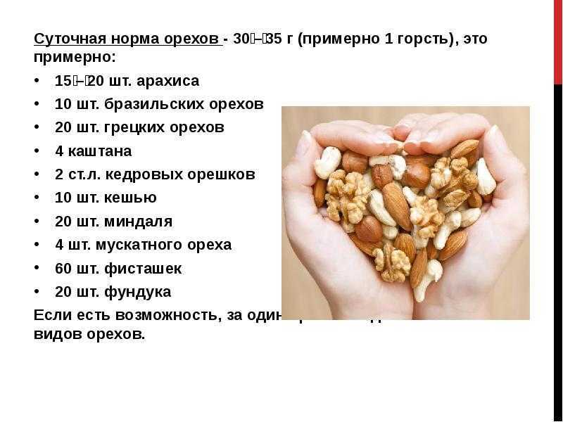 Сколько орехов можно съедать в день взрослому человеку