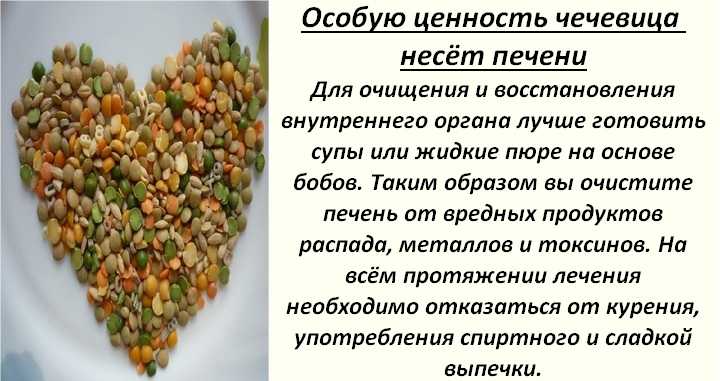 Как варить чечевицу: 4 способа приготовления и 3 примера блюд