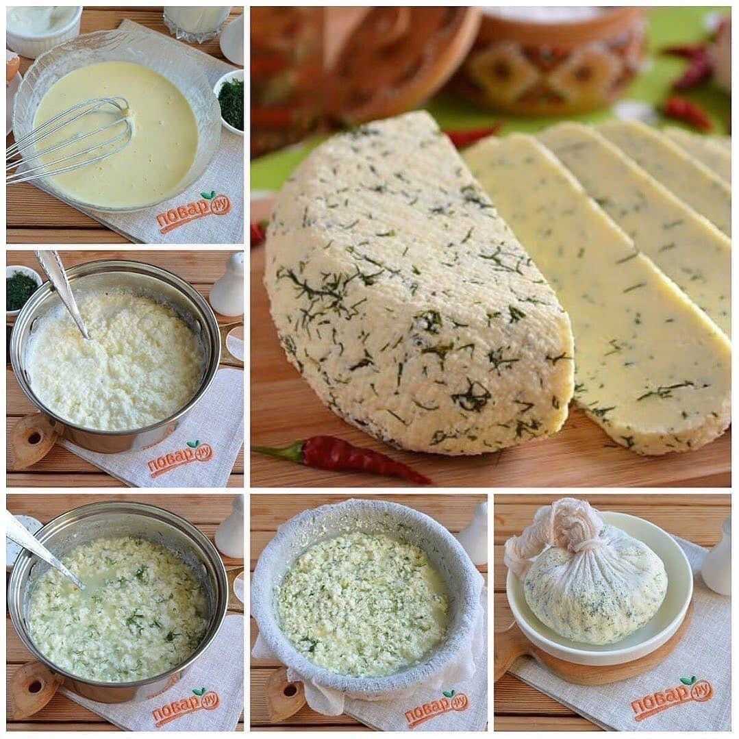 Как приготовить вкусный сыр из сметаны в домашних условиях: рецепты с фото