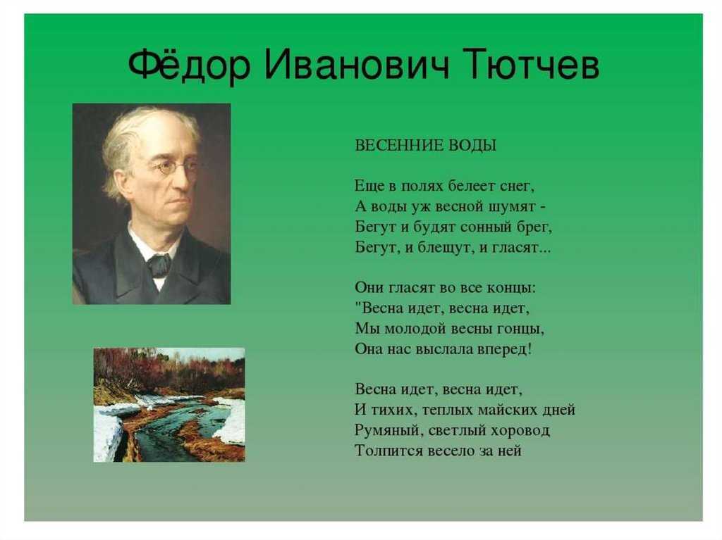 Денисьевский цикл тютчева