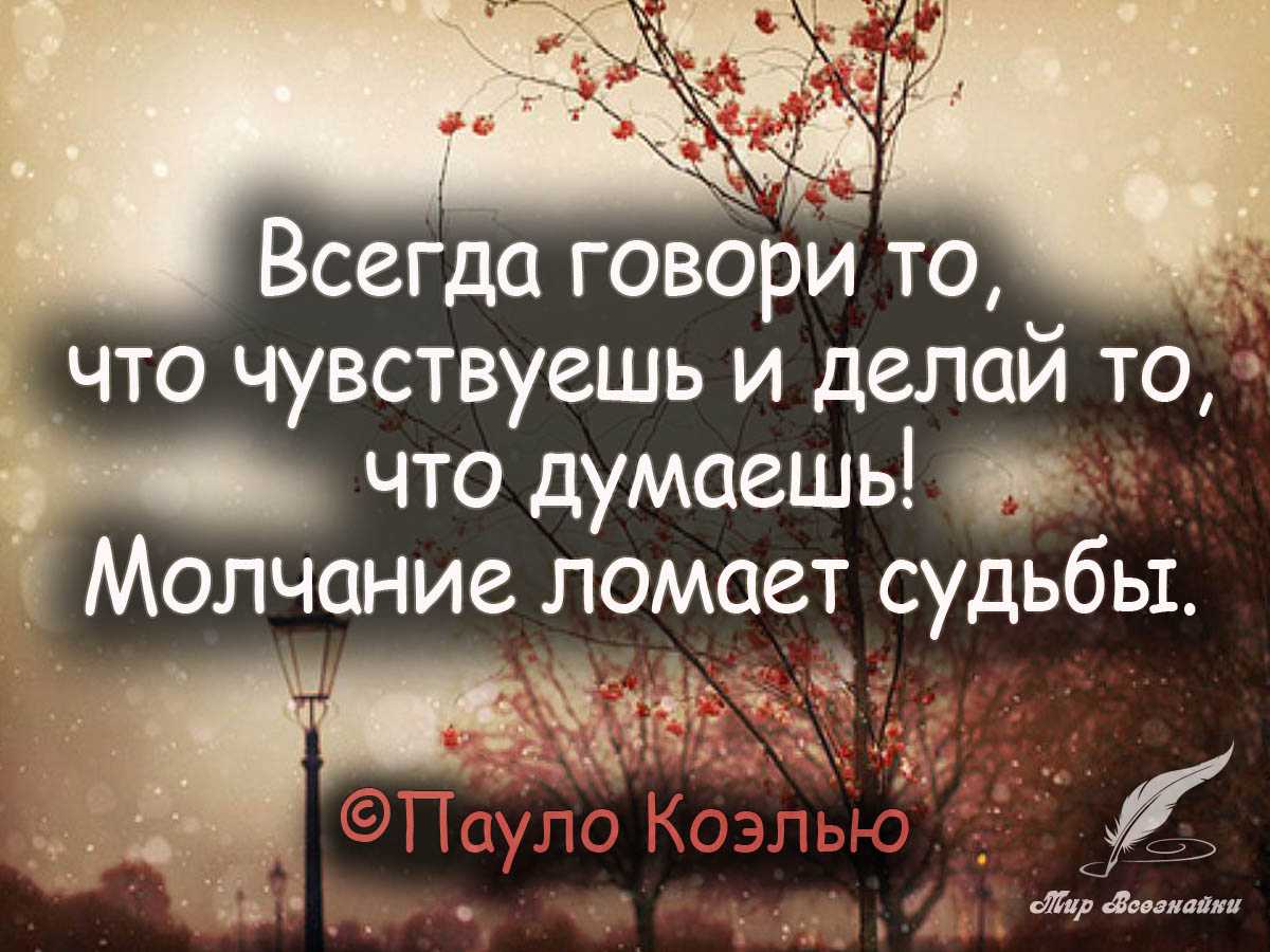 137 цитаты молчания глубоких отношений - психология - 2024