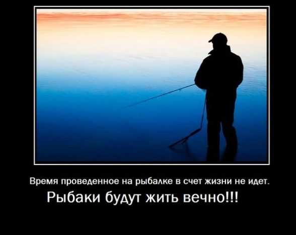 Говорит юрист: откуда брать картинки, чтобы не попасть под суд, и как защитить свои авторские права – pr-cy блог