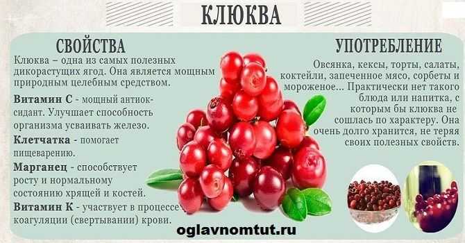 Компот из клюквы (замороженной и свежей): рецепты с яблоками, как сварить клюквенный напиток