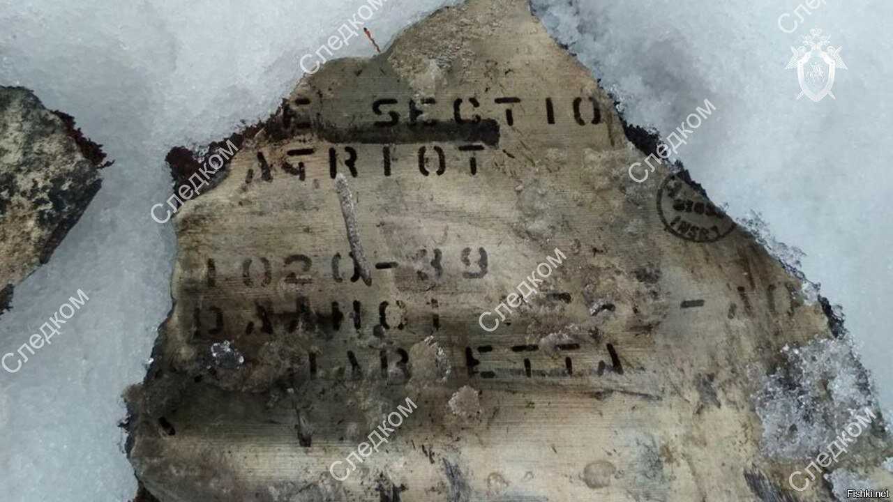 Самые успешные и богатые знаки зодиака по статистике