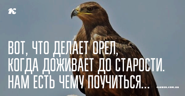 Чему, на ваш взгляд, стоит поучиться у старшего поколения? чему нам стоит научиться у старшего поколения чему старшее поколение может научиться у младшего