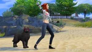 The sims 4: кошки и собаки — как завести домашних животных