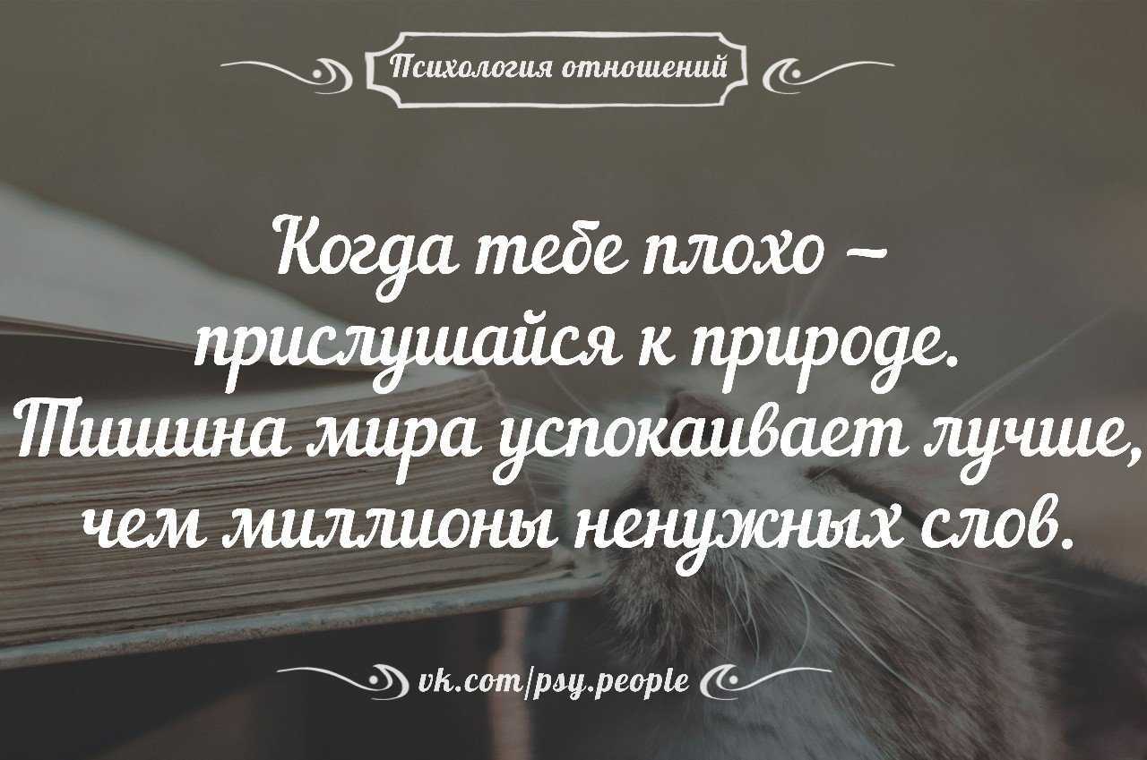 Дружба между мужчиной и женщиной цитаты. лучшие цитаты великих людей о дружбе между мужчиной и женщиной