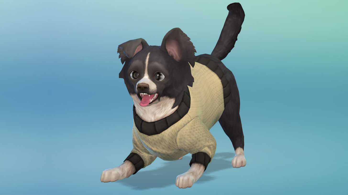 Чит-коды для the sims 4 – кошки и собаки
