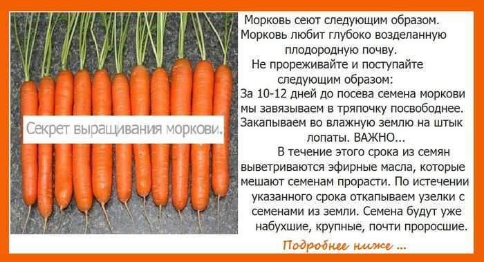 Мера веса продуктов без весов или в домашних условиях, как определить в ложках, стаканах, граммах, таблица
